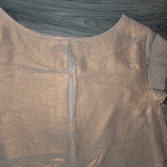 JOIE size S Silk Metallic Peach Shift Mini Dress Cap short sleeve - Picture 6 of 6